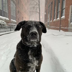 Meet your Posher, Holly